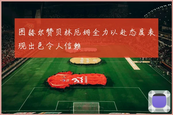 图赫尔赞贝林厄姆全力以赴态度表现出色令人信赖